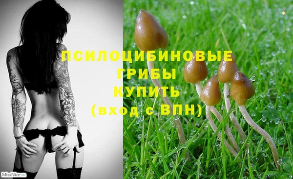 экстази Балабаново