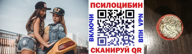 Галлюциногенные грибы Cubensis площадка официальный сайт Кологрив